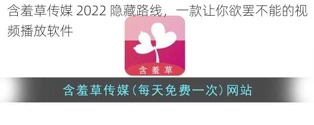 含羞草传媒 2022 隐藏路线,一款让你欲罢不能的视频播放软件