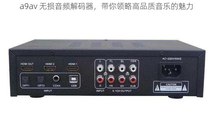 a9av 无损音频解码器,带你领略高品质音乐的魅力