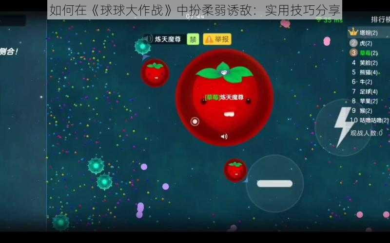 如何在《球球大作战》中扮柔弱诱敌:实用技巧分享